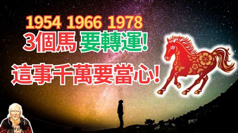 1978生肖馬|1978年出生的屬馬人什麼命格？准到爆！